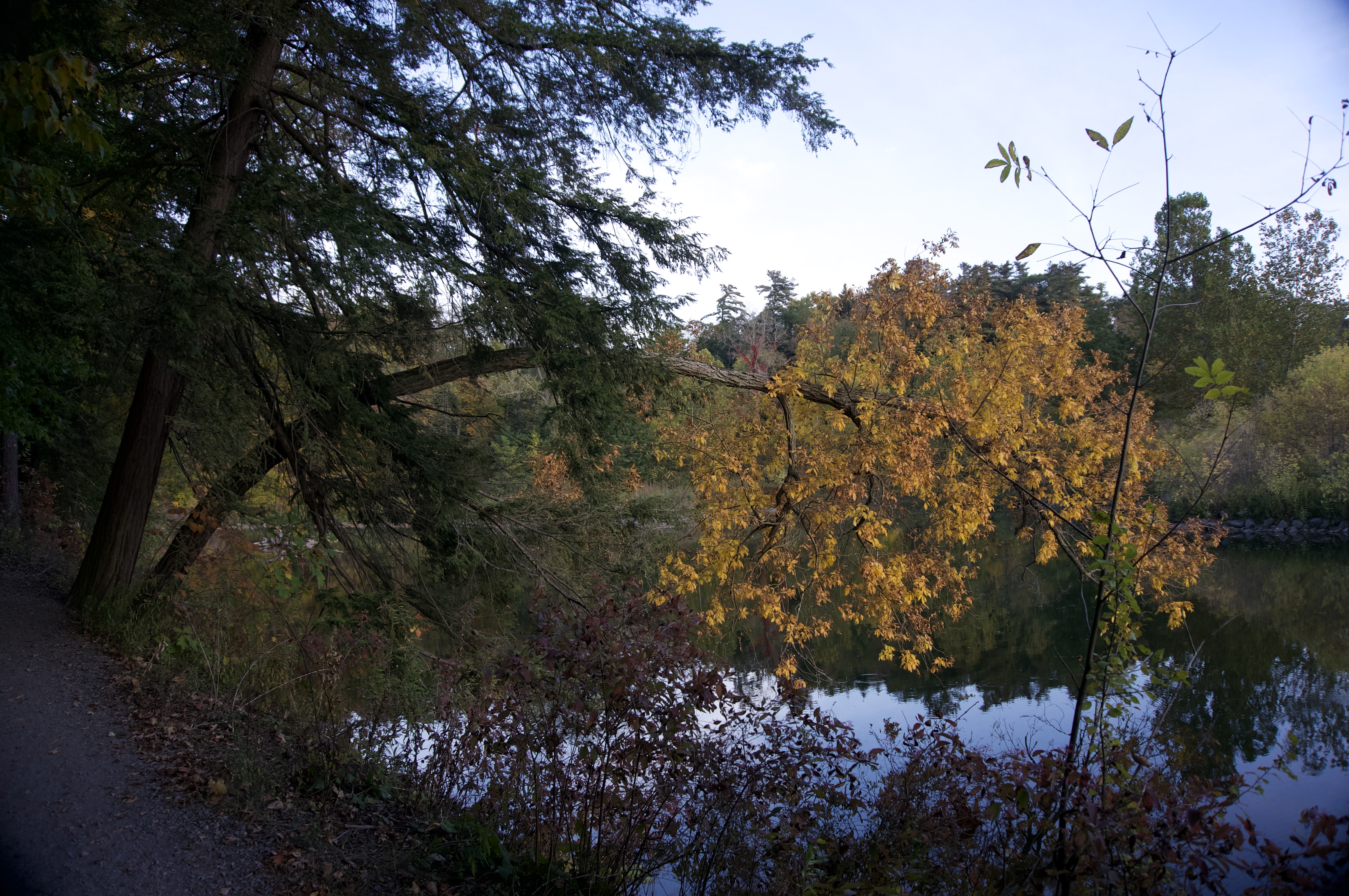 Fall 23 Beebe Lake 1