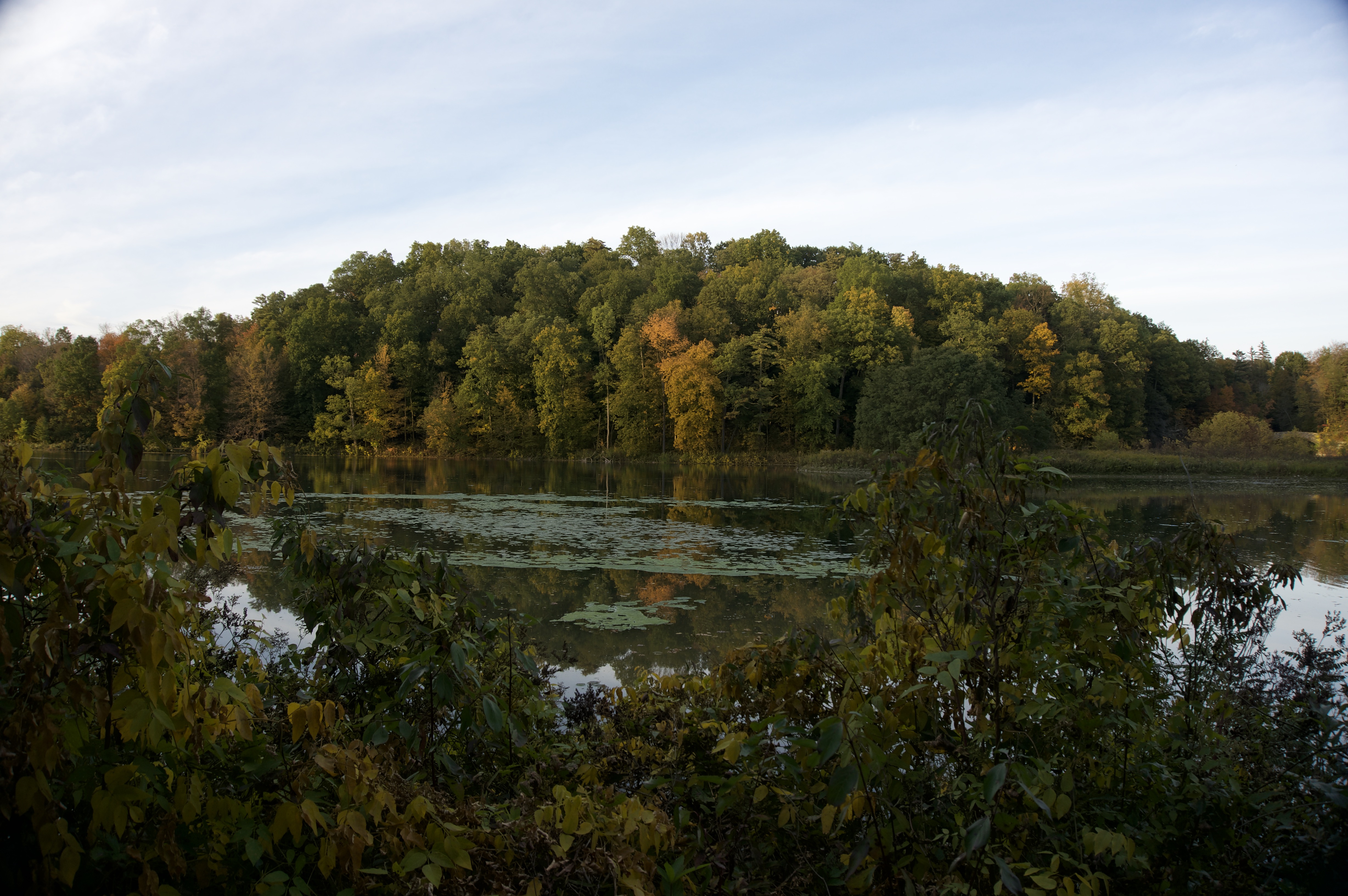 Fall 23 Beebe Lake 3