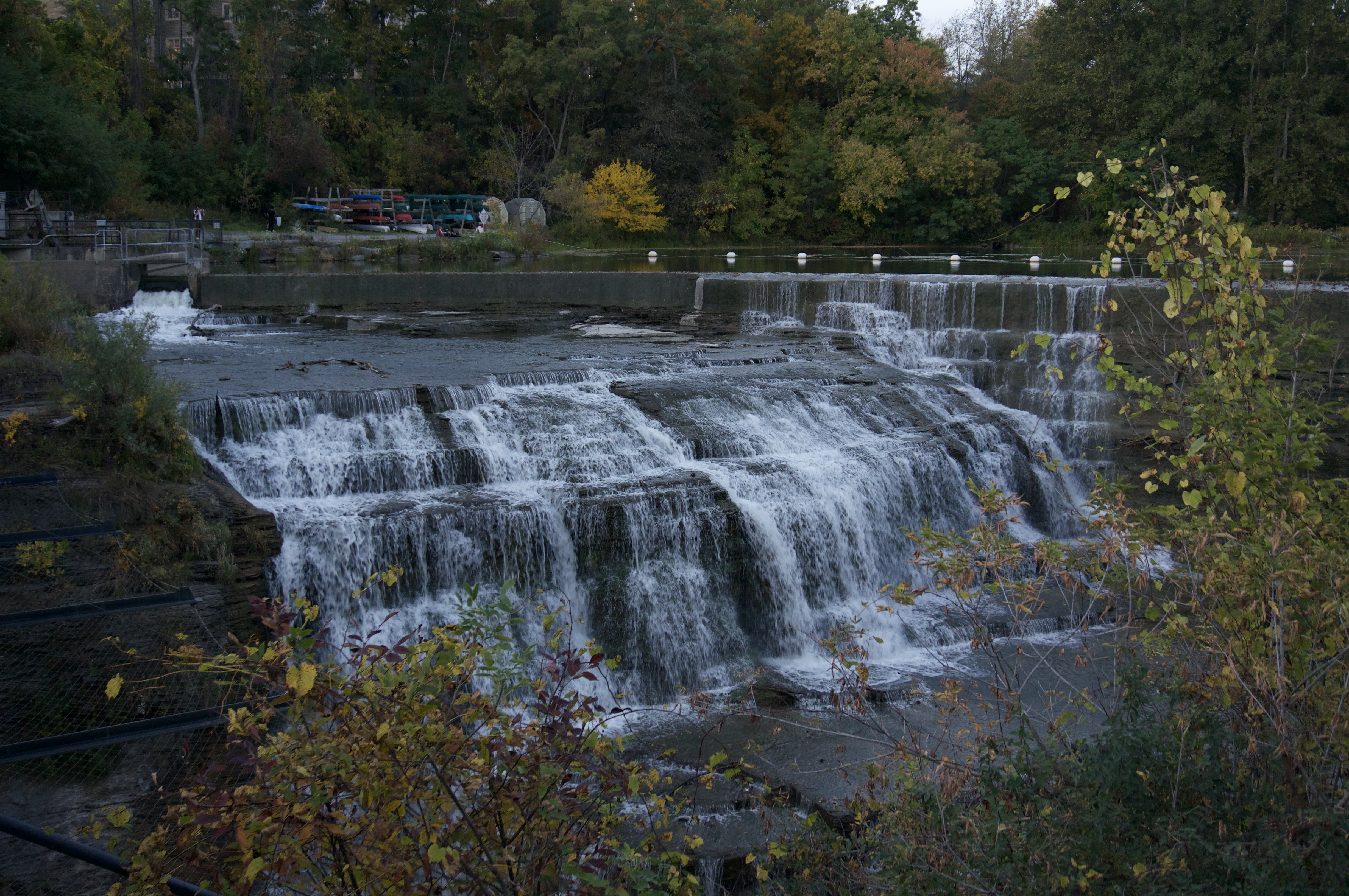 Fall 23 Beebe Lake 5